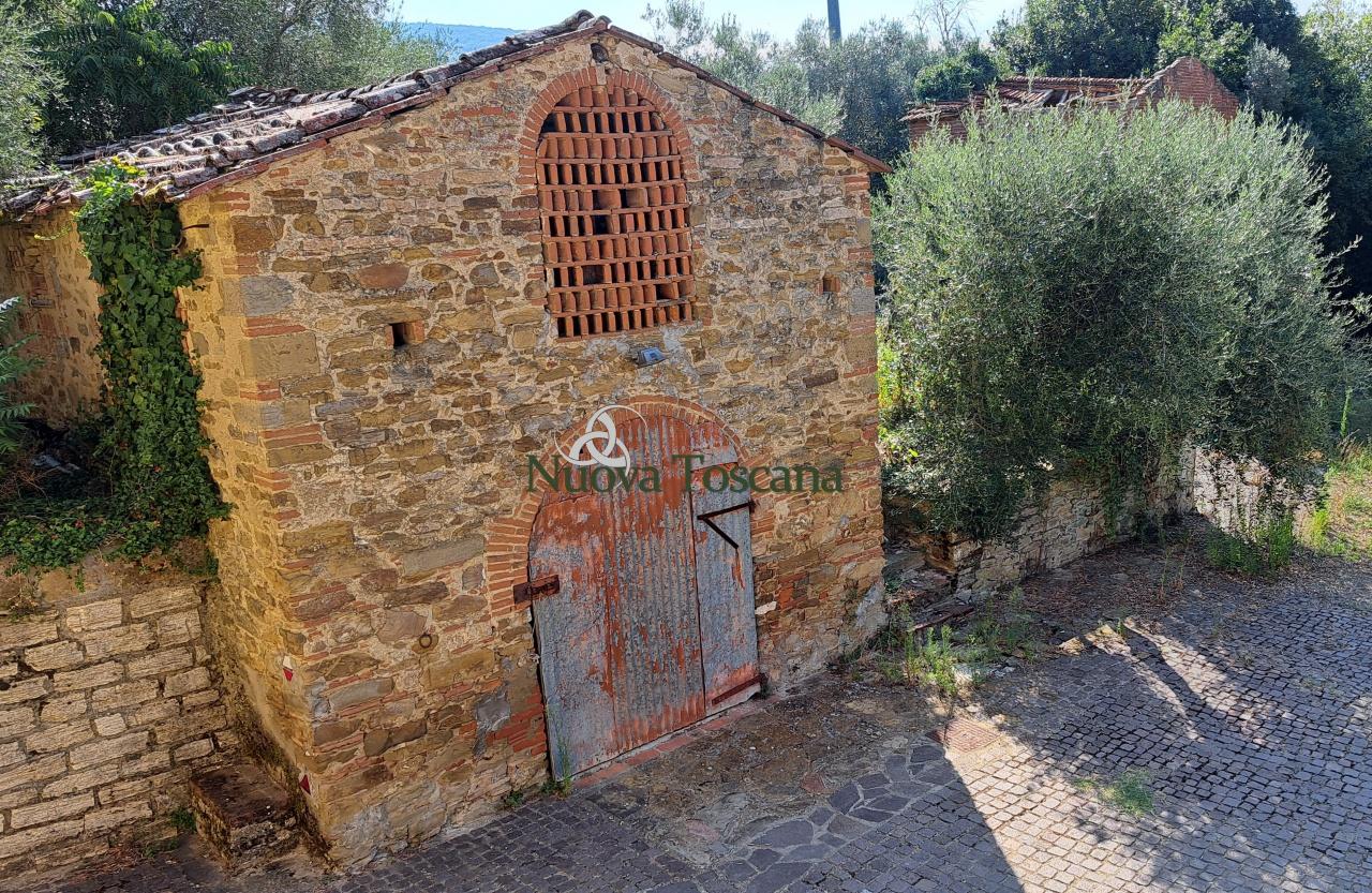 Vendita Bivani, Arezzo foto