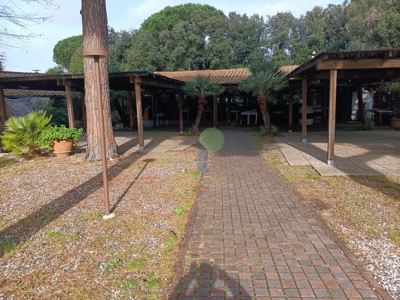 Vendita Esavani, Cecina foto