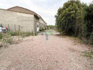 Affitto Trivani, Rosignano Marittimo Affitto Trivani, Rosignano Marittimo