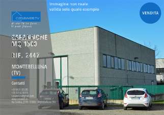 Vendita vendita, Montebelluna Vendita vendita, Montebelluna