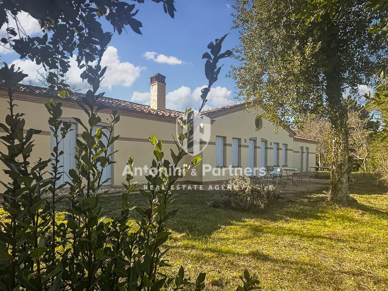 Vendita Multivani, Avigliano Umbro foto