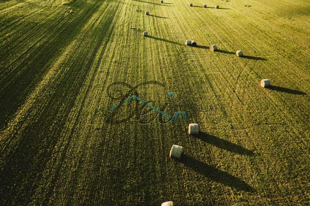 Vendita vendita, Capannori foto