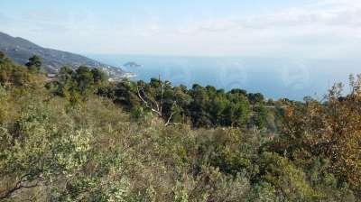 Vendita Terreno Agricolo, Alassio Vendita Terreno Agricolo, Alassio