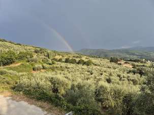Vendita Terreno Agricolo, Rufina