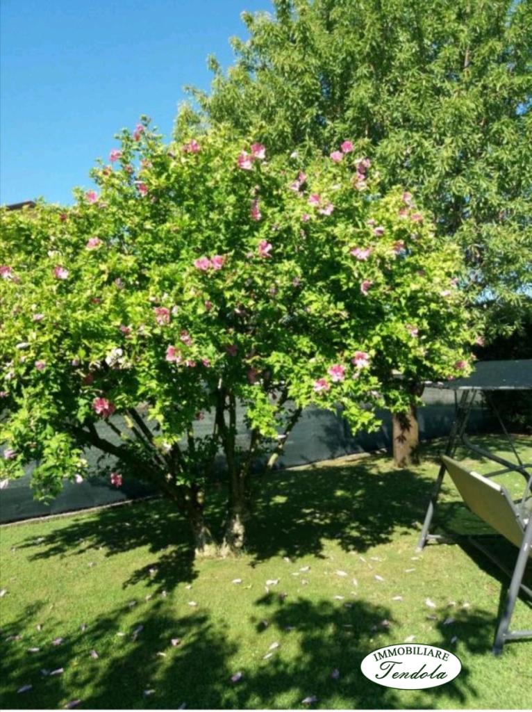 Vendita Rustico, Sarzana foto