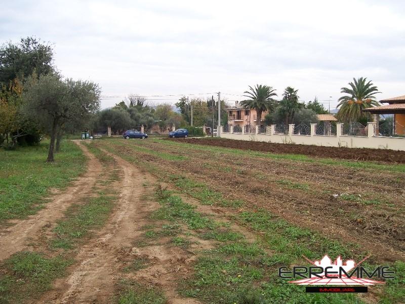 Vendita Loft, mansarde e attici, Cepagatti foto