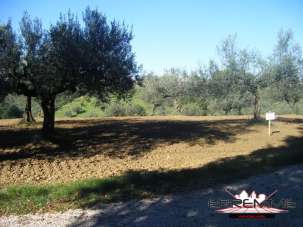 Vendita Loft, mansarde e attici, Cepagatti Vendita Loft, mansarde e attici, Cepagatti
