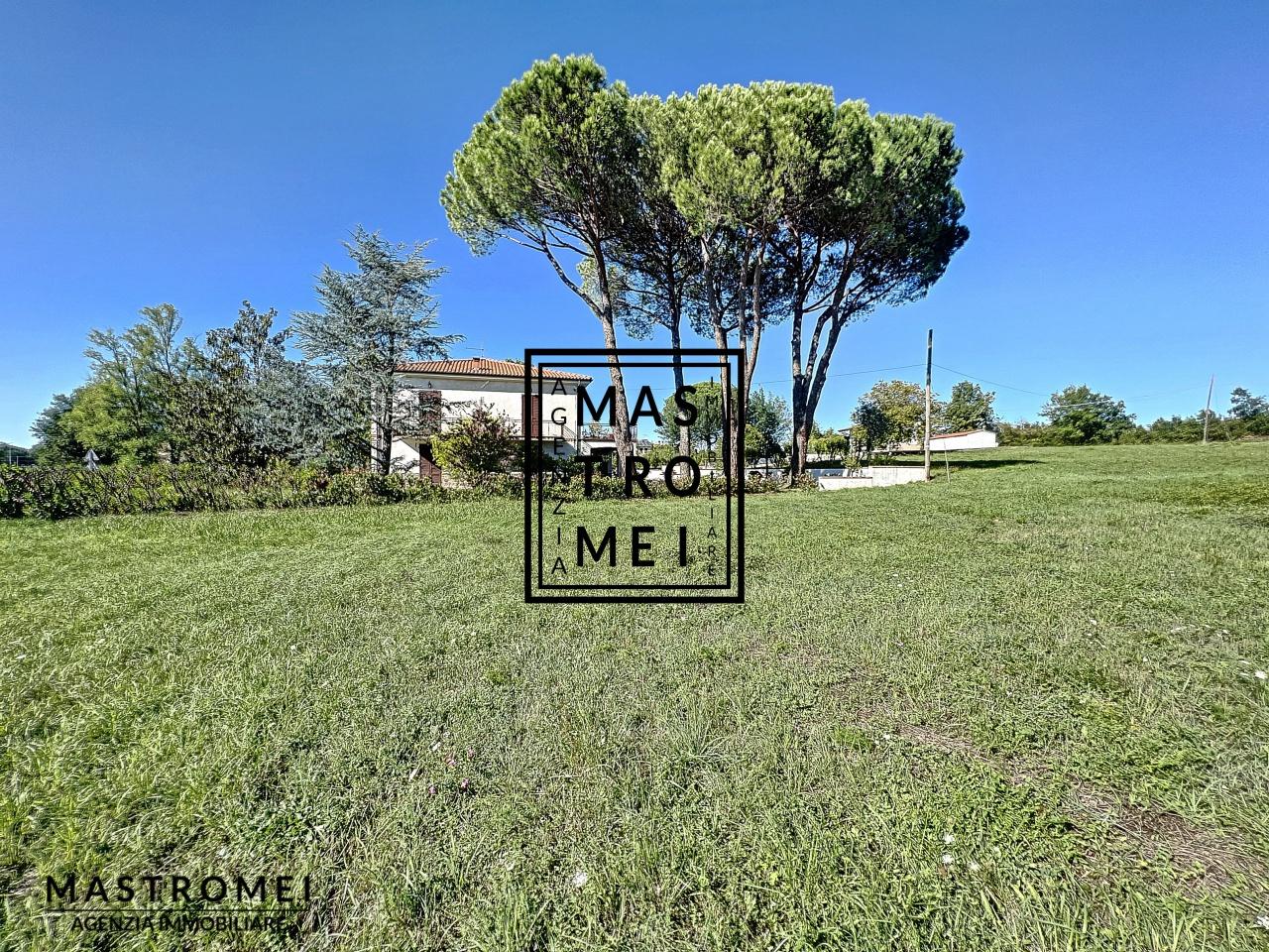 Vendita Multivani, Fucecchio foto