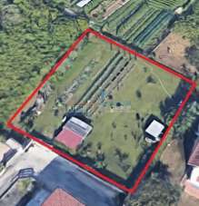 Affitto Monovano, Massa Affitto Monovano, Massa