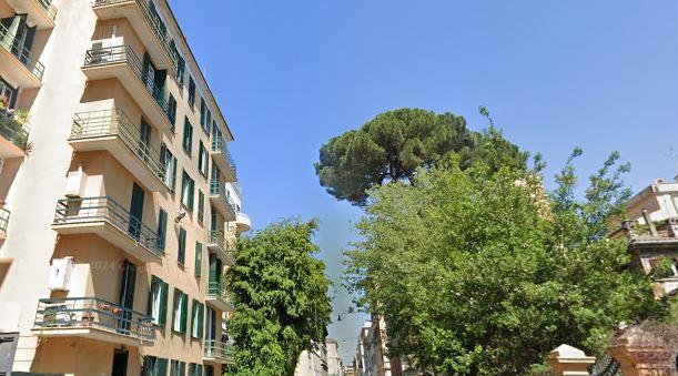 Vendita Trivani, Roma foto