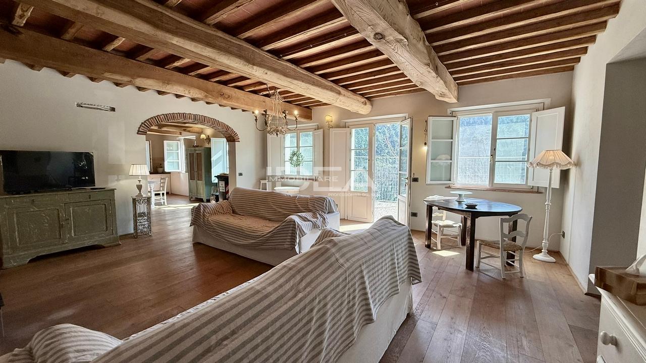 Vendita Multivani, Capannori foto