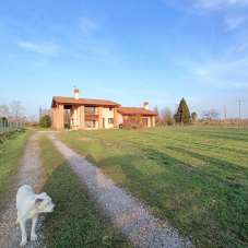 Vendita Esavani, Campolongo Maggiore Vendita Esavani, Campolongo Maggiore