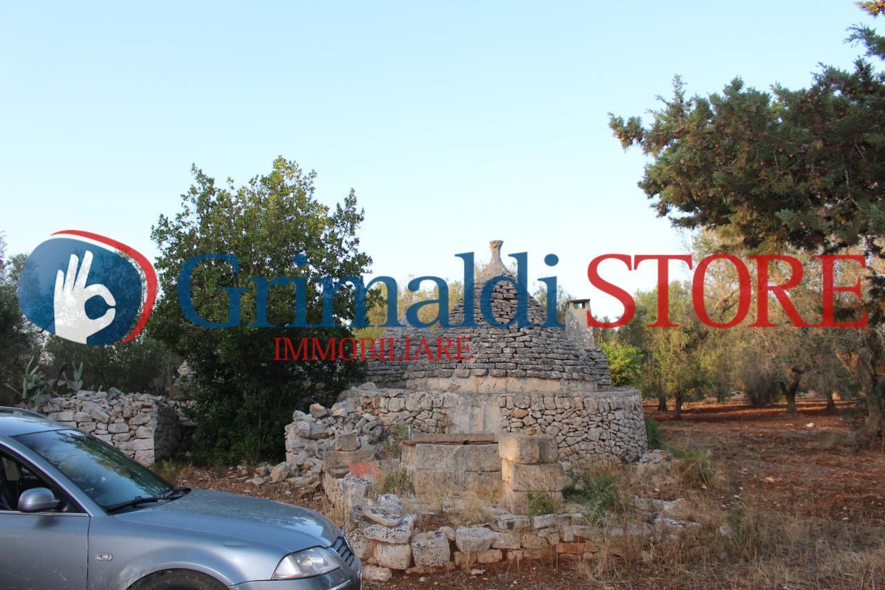 Vendita Esavani, San Michele Salentino foto