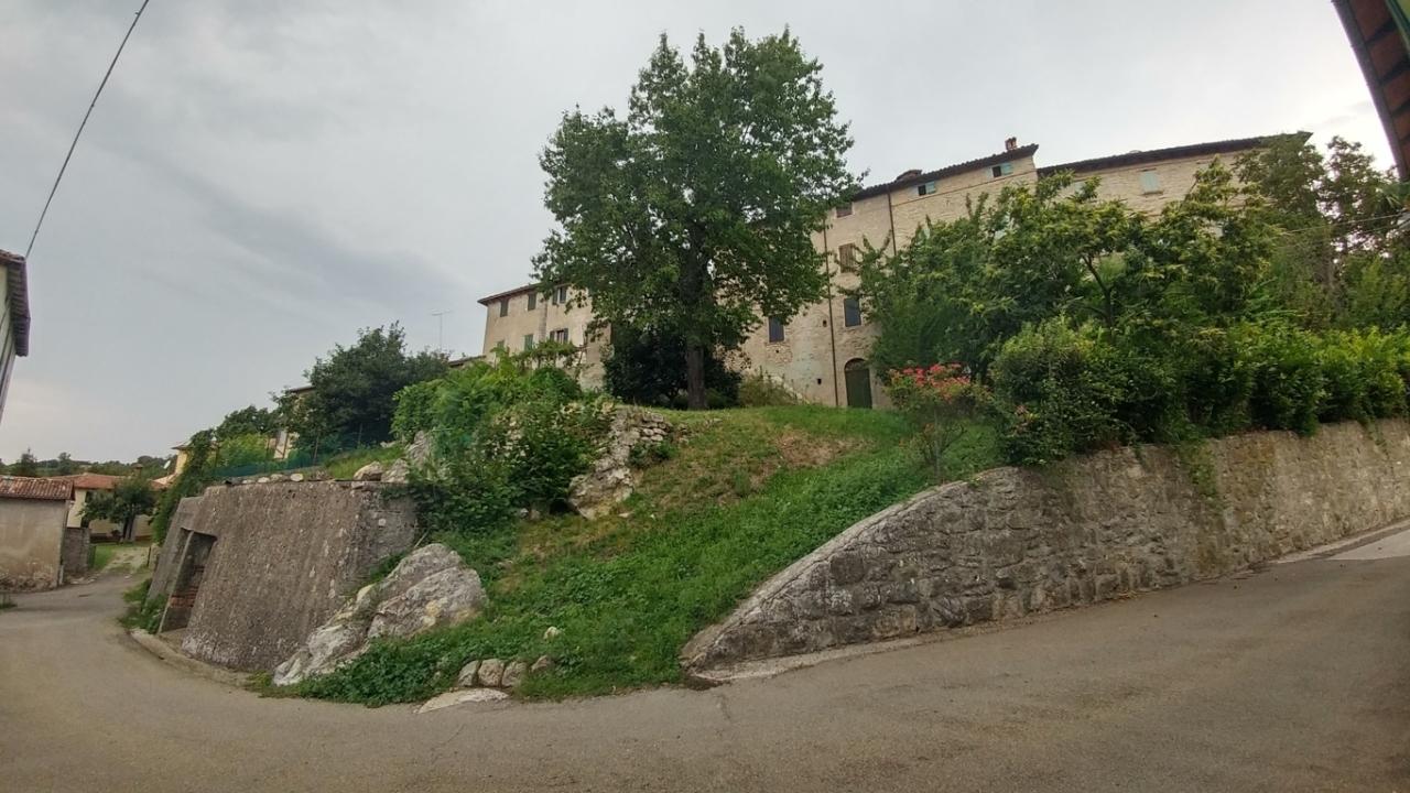 Vendita Multivani, Zocca foto