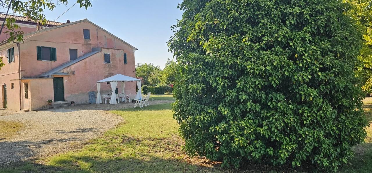 Vendita Pentavani, Jesi foto