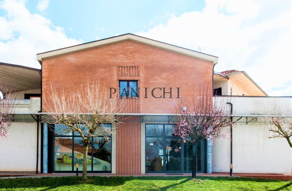 Vendita Negozio, Asciano foto