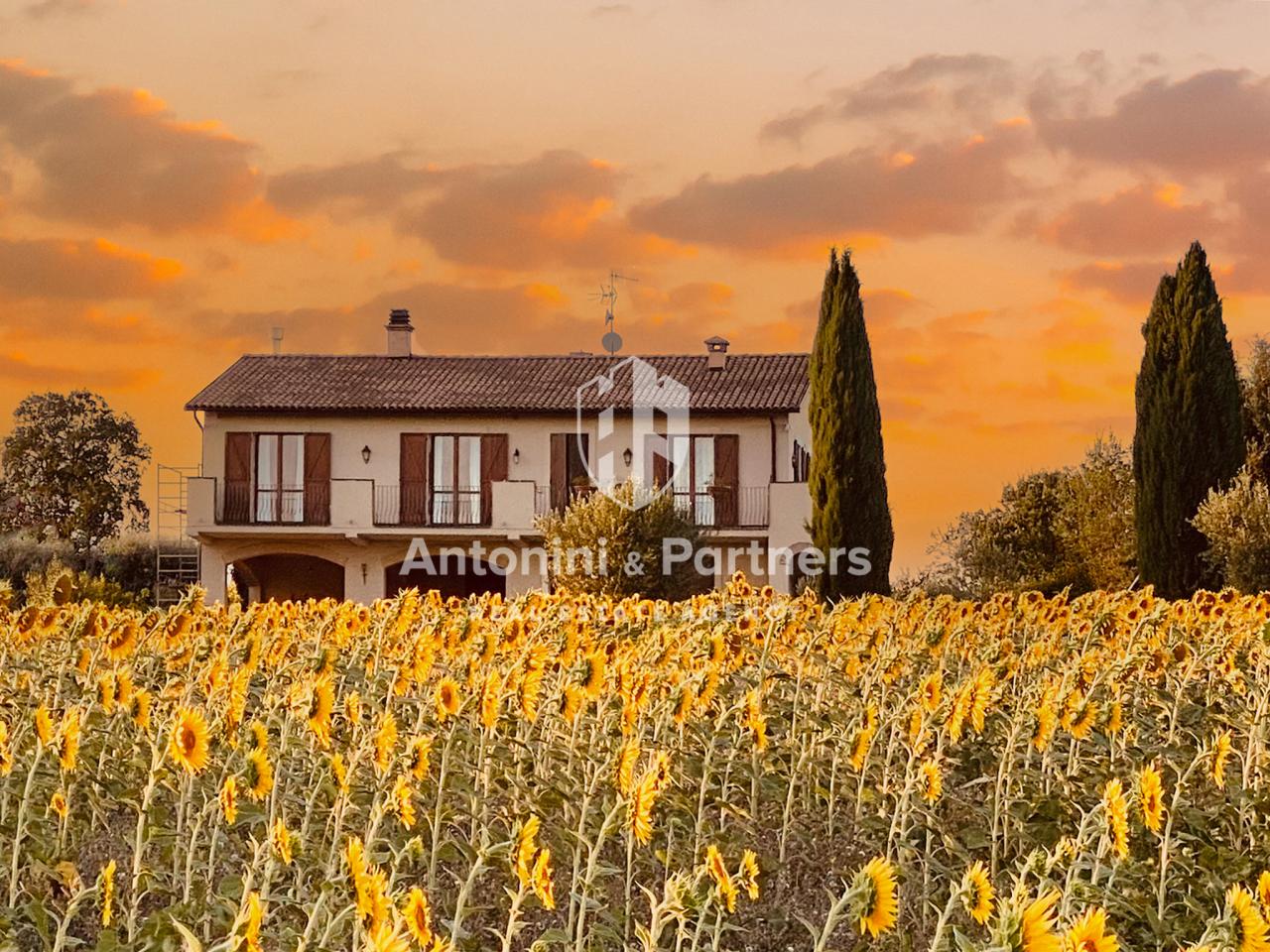 Vendita Multivani, Montecastrilli foto