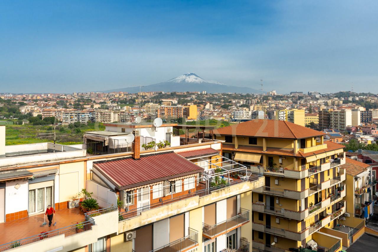 Vendita Quadrivani, Catania foto