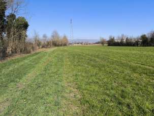 Vendita Terreni, Montecchio Precalcino