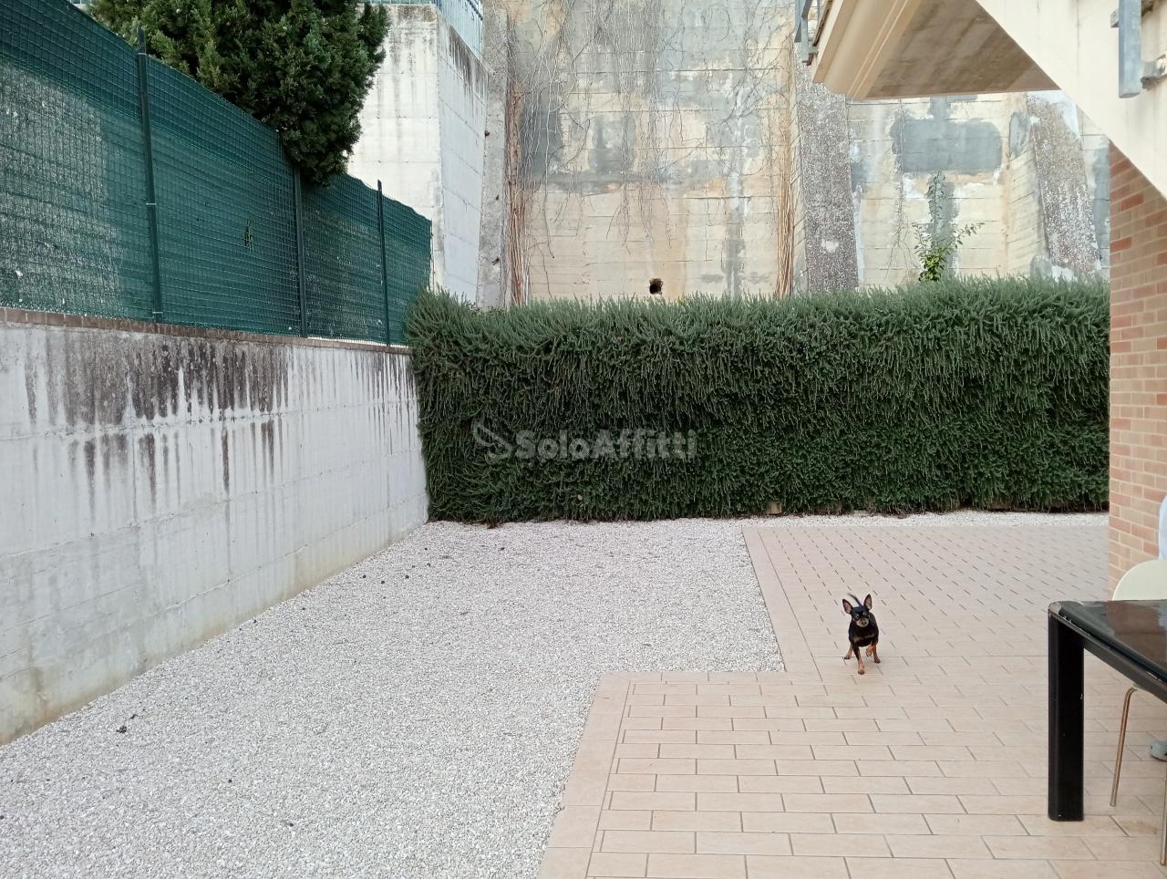 Rent Trivani, Polverigi foto
