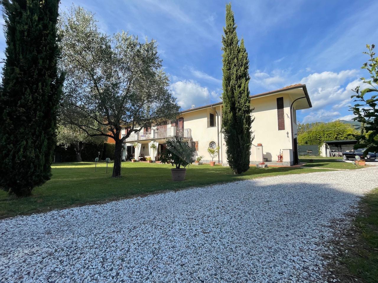 Vendita Multivani, Pietrasanta foto