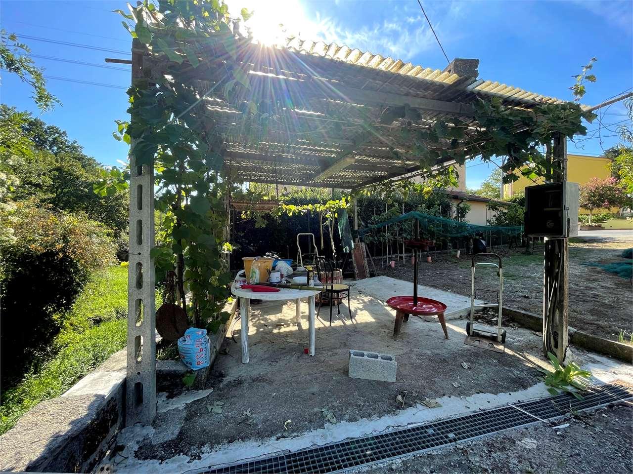 Vendita vendita, Capannori foto