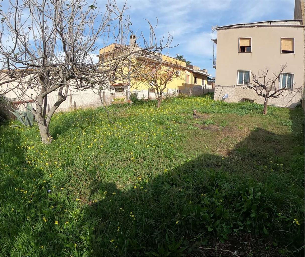 Vendita vendita, Roma foto