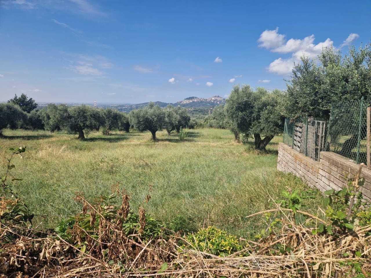 Vendita Monovano, Marcellina foto