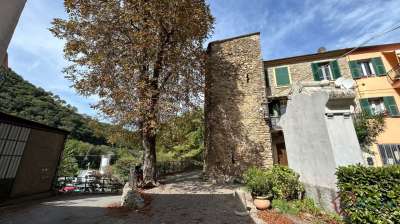 Vendita Trivani, Ortovero Vendita Trivani, Ortovero