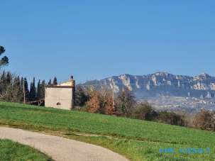 Vendita Quadrivani, Coriano Vendita Quadrivani, Coriano