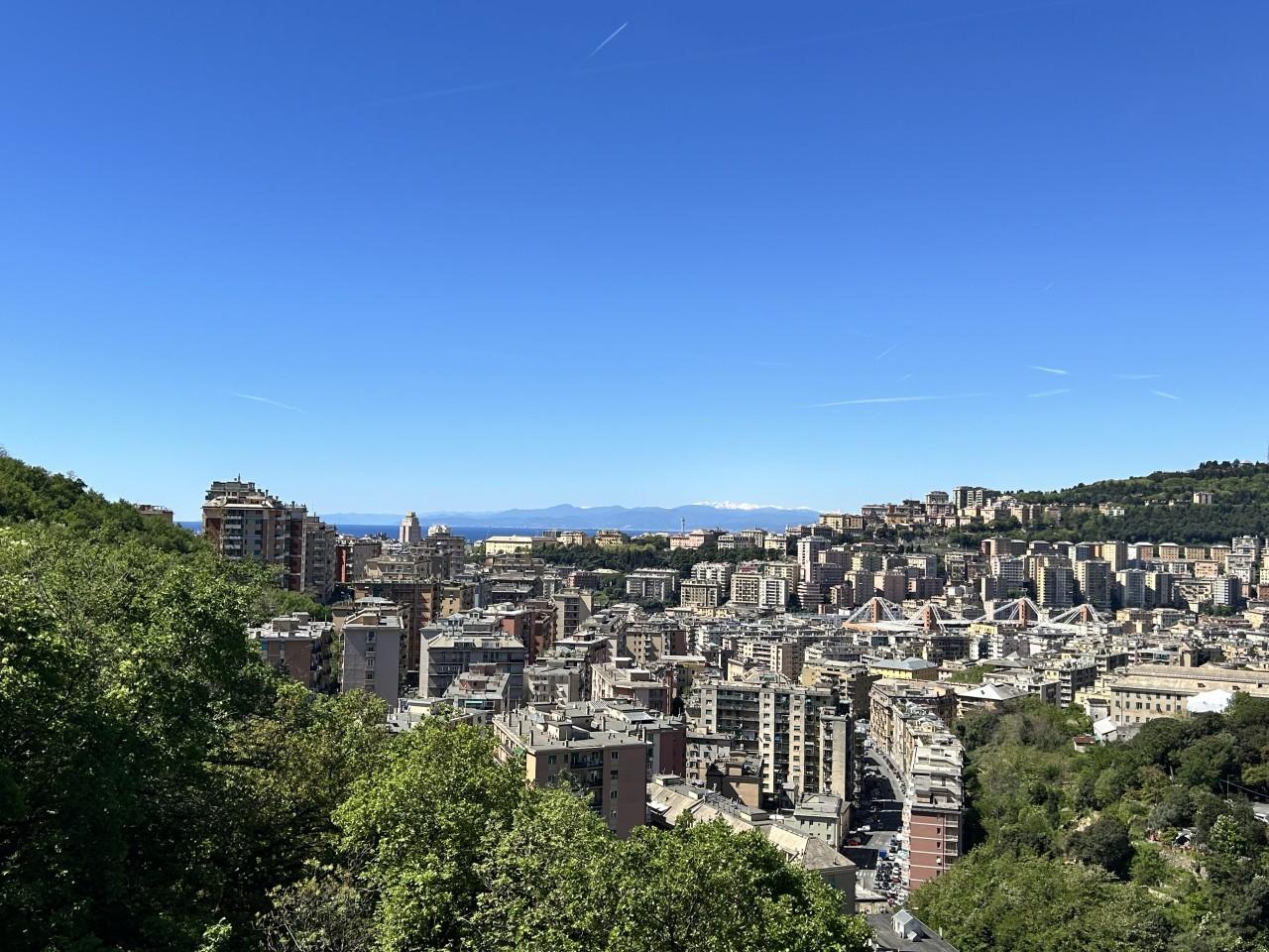 Vendita Multivani, Genova foto
