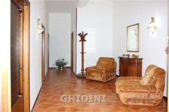 Vendita Eptavani, Grosseto Vendita Eptavani, Grosseto