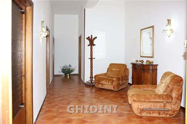 Vendita Eptavani, Grosseto foto