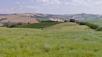 Vendita Trivani, San Costanzo Vendita Trivani, San Costanzo