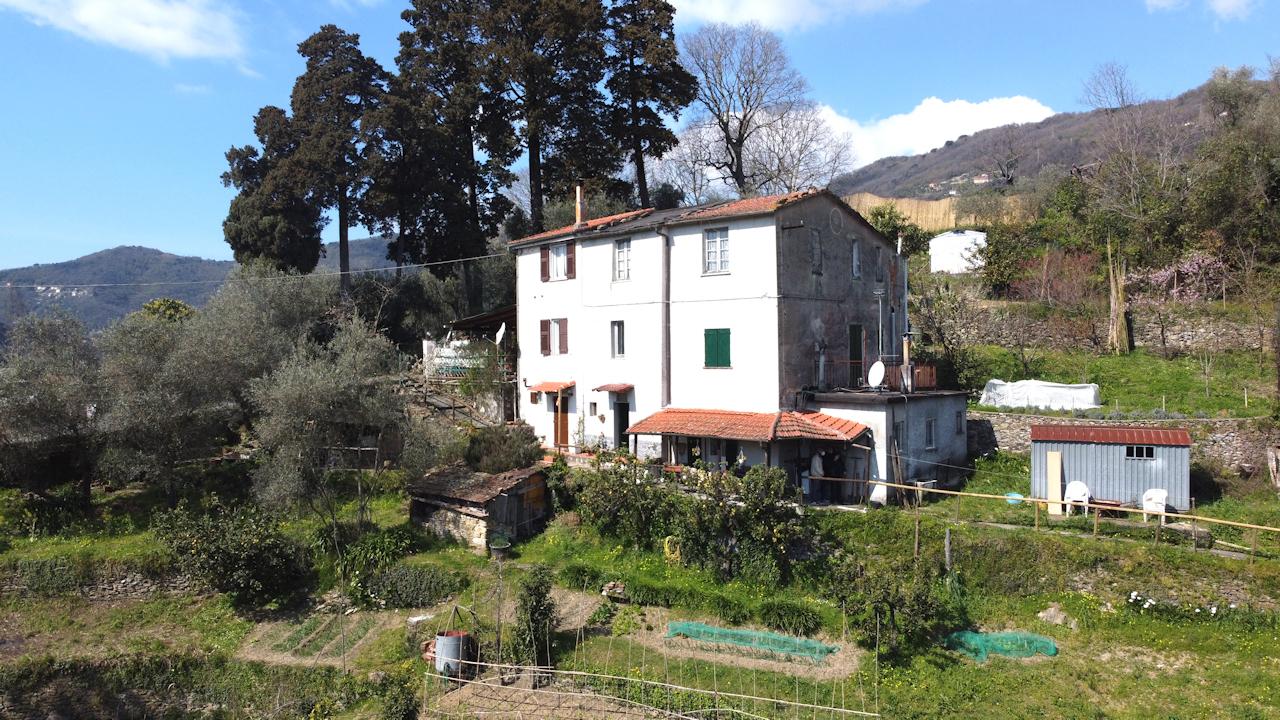 Vendita Multivani, Rapallo foto
