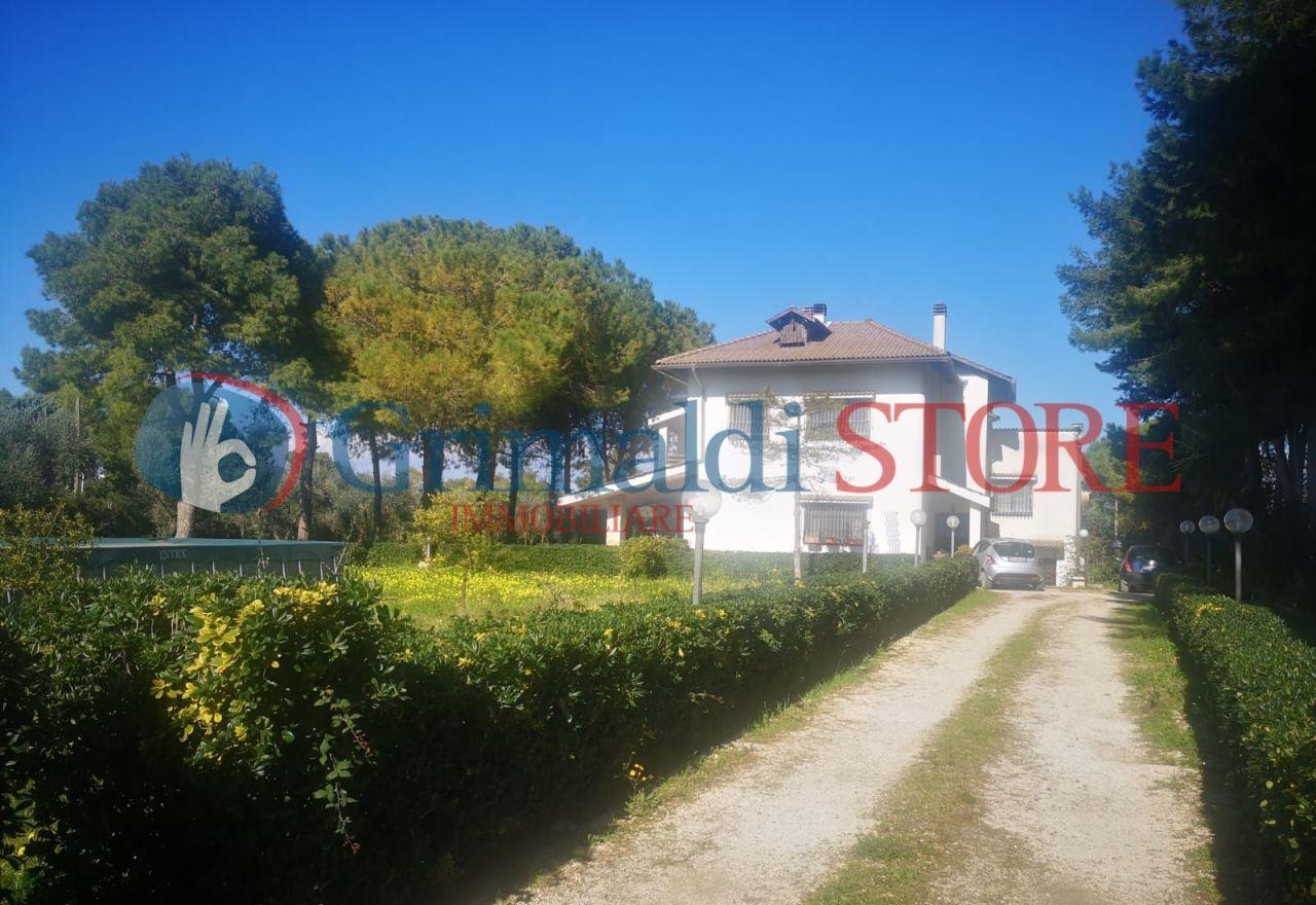 Vendita Multivani, Taranto foto