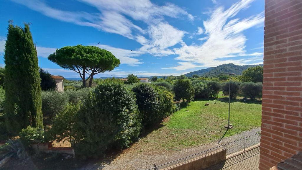 Vendita Trivani, Suvereto foto