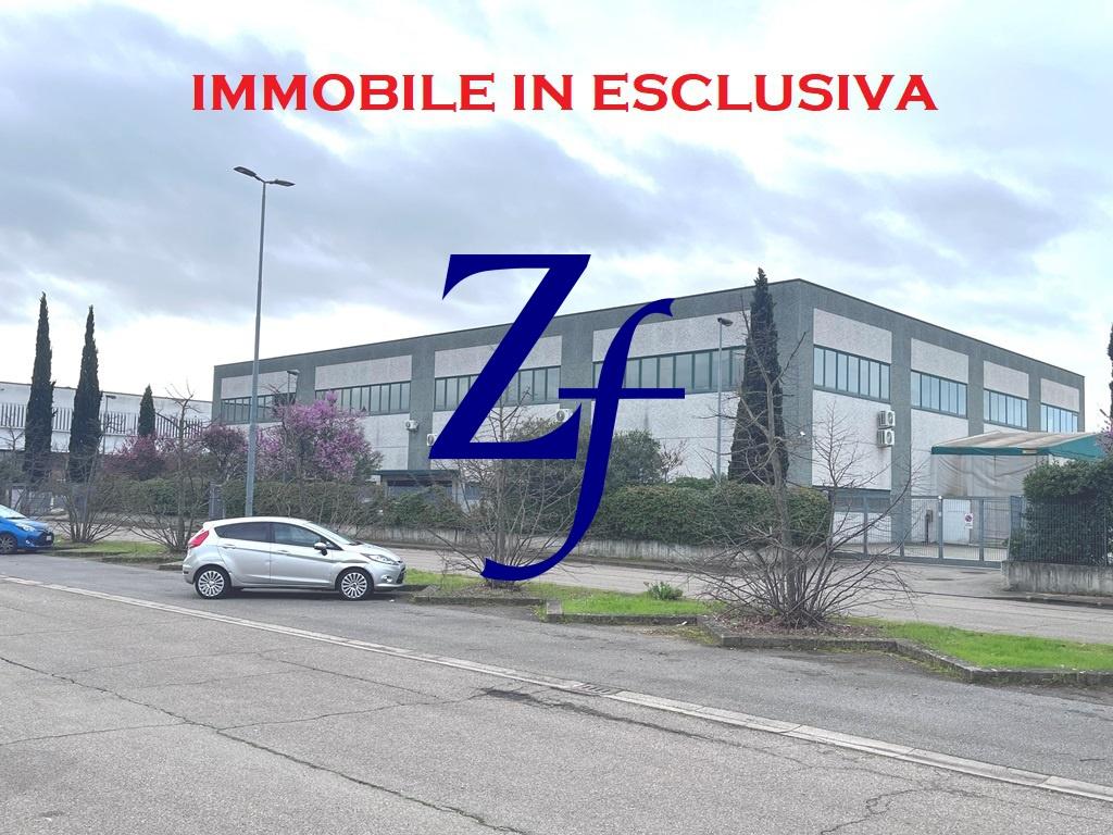 Vendita Multivani, Campi Bisenzio foto