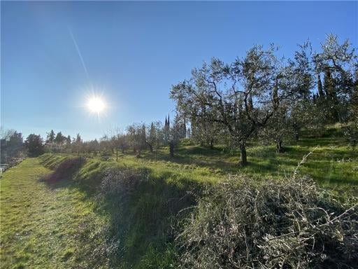 Vendita TERRENO AGRICOLO, Scandicci foto