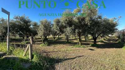 Vendita vendita, Lamezia Terme Vendita vendita, Lamezia Terme