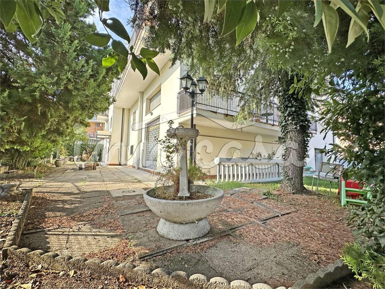 Vendita vendita, Rimini foto