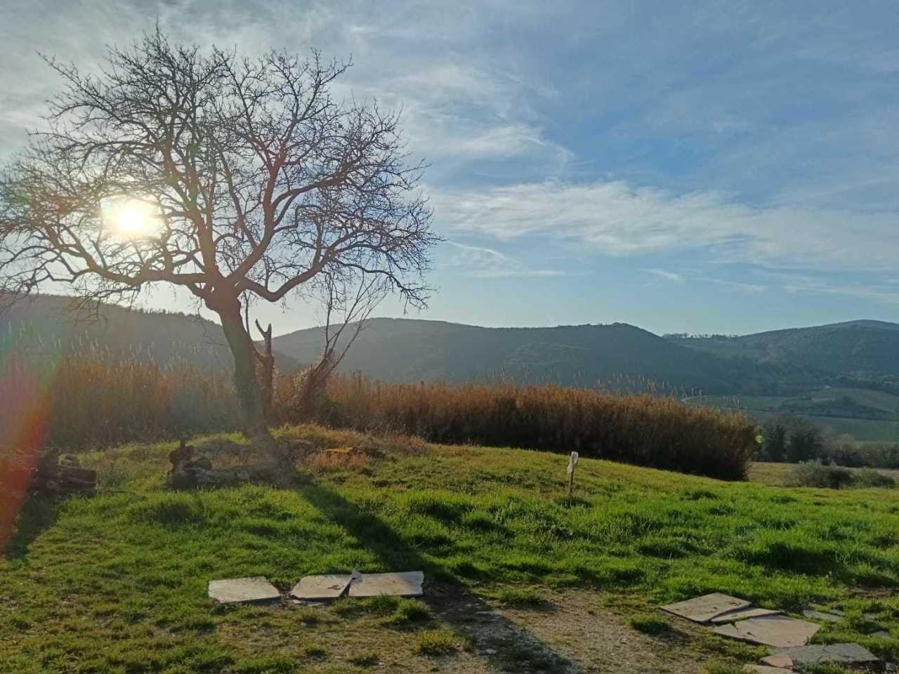 Vendita Terreni, Amelia foto