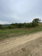 Vendita Terreni, Lugnano in Teverina Vendita Terreni, Lugnano in Teverina