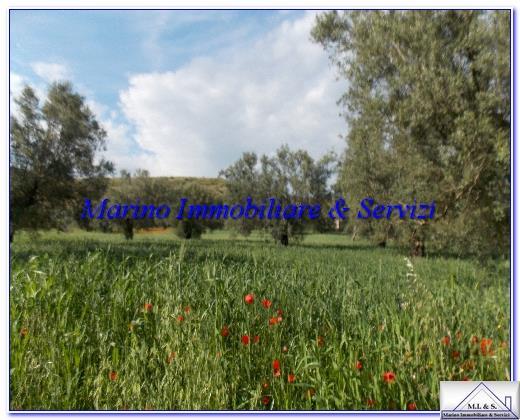 Vendita Rustico, Pignataro Maggiore foto