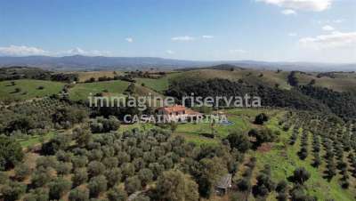 Vendita Multivani, Campagnatico Vendita Multivani, Campagnatico