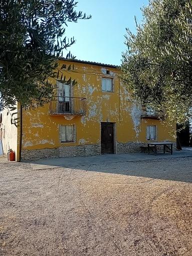 Vendita Multivani, Arielli foto