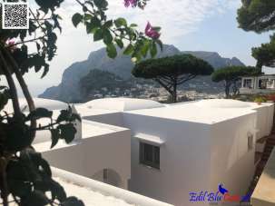 Vendita Multivani, Capri