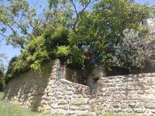 Vendita vendita, Castrocaro Terme e Terra del Sole