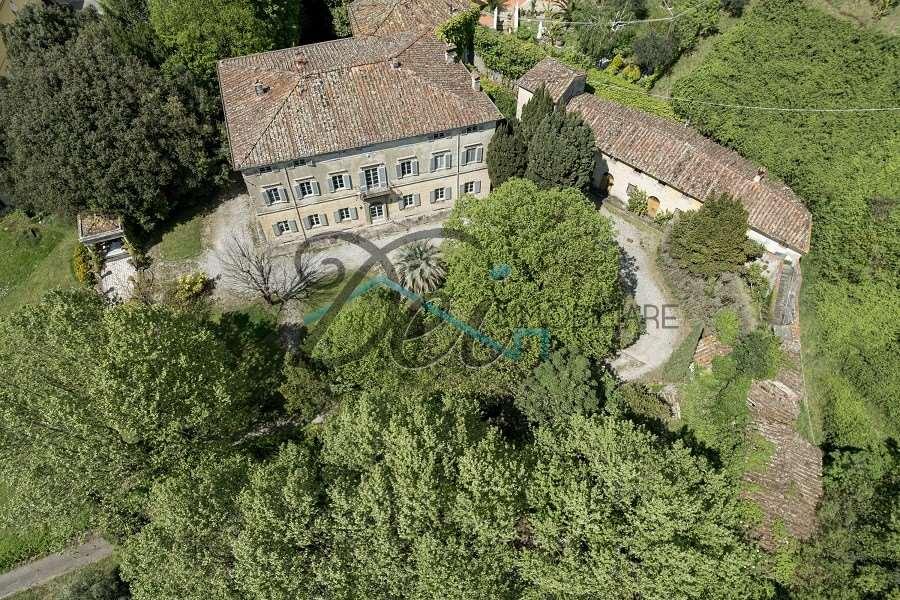 Vendita vendita, Lucca foto