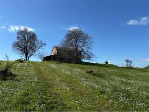 Vendita vendita, Vallefoglia Vendita vendita, Vallefoglia